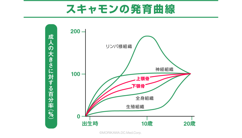 スキャモンの発育曲線