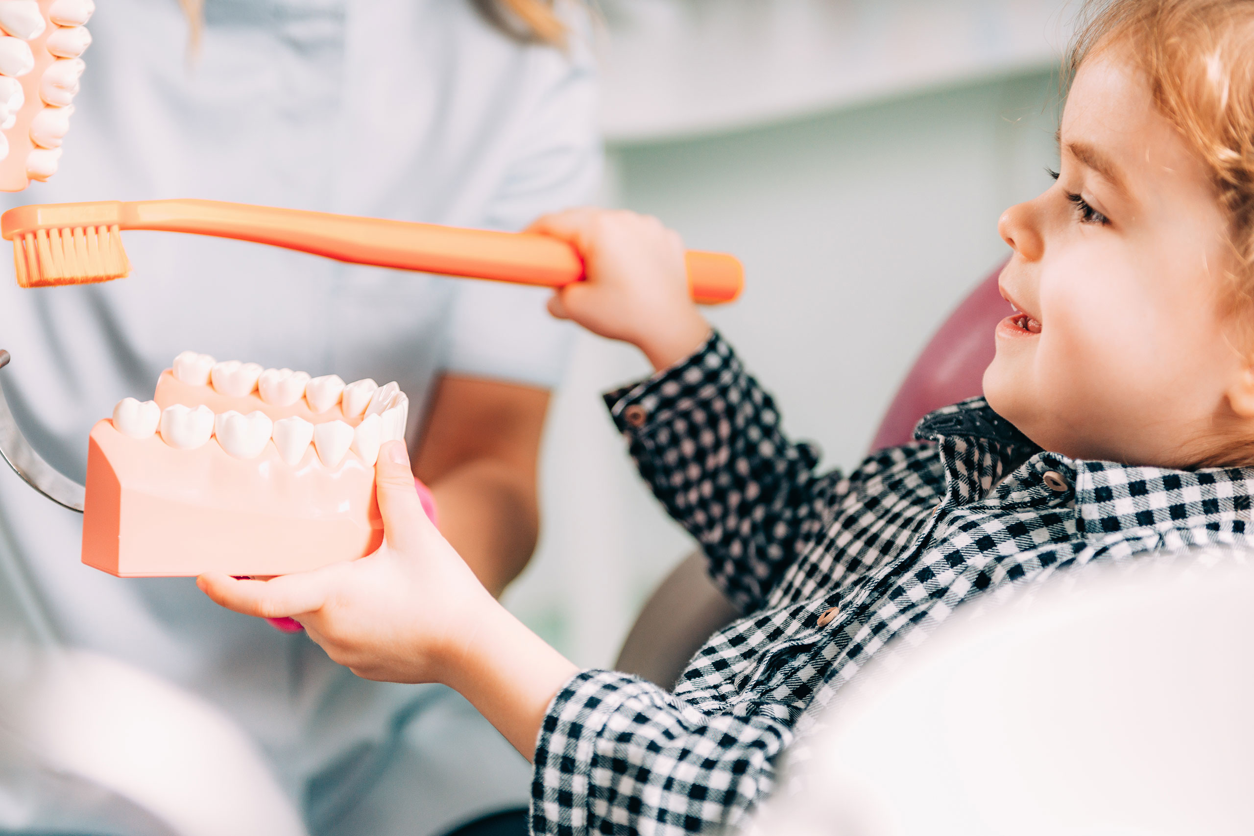 歯科で歯ブラシと歯の模型を使って歯磨きの仕方を教えてもらっている女の子