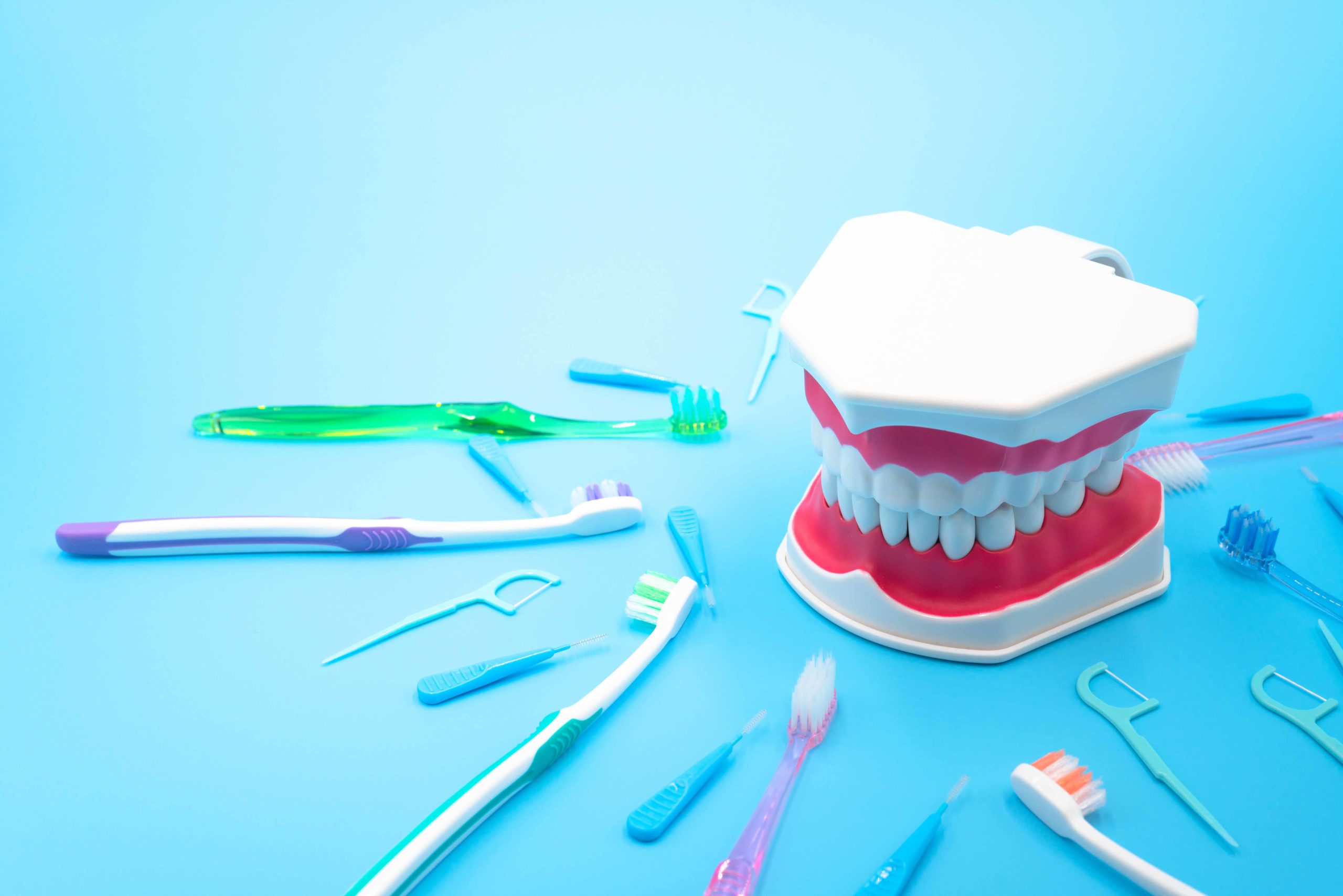 水色の背景の前に歯の模型が置かれており、その周りに歯ブラシや歯間ブラシが置かれている