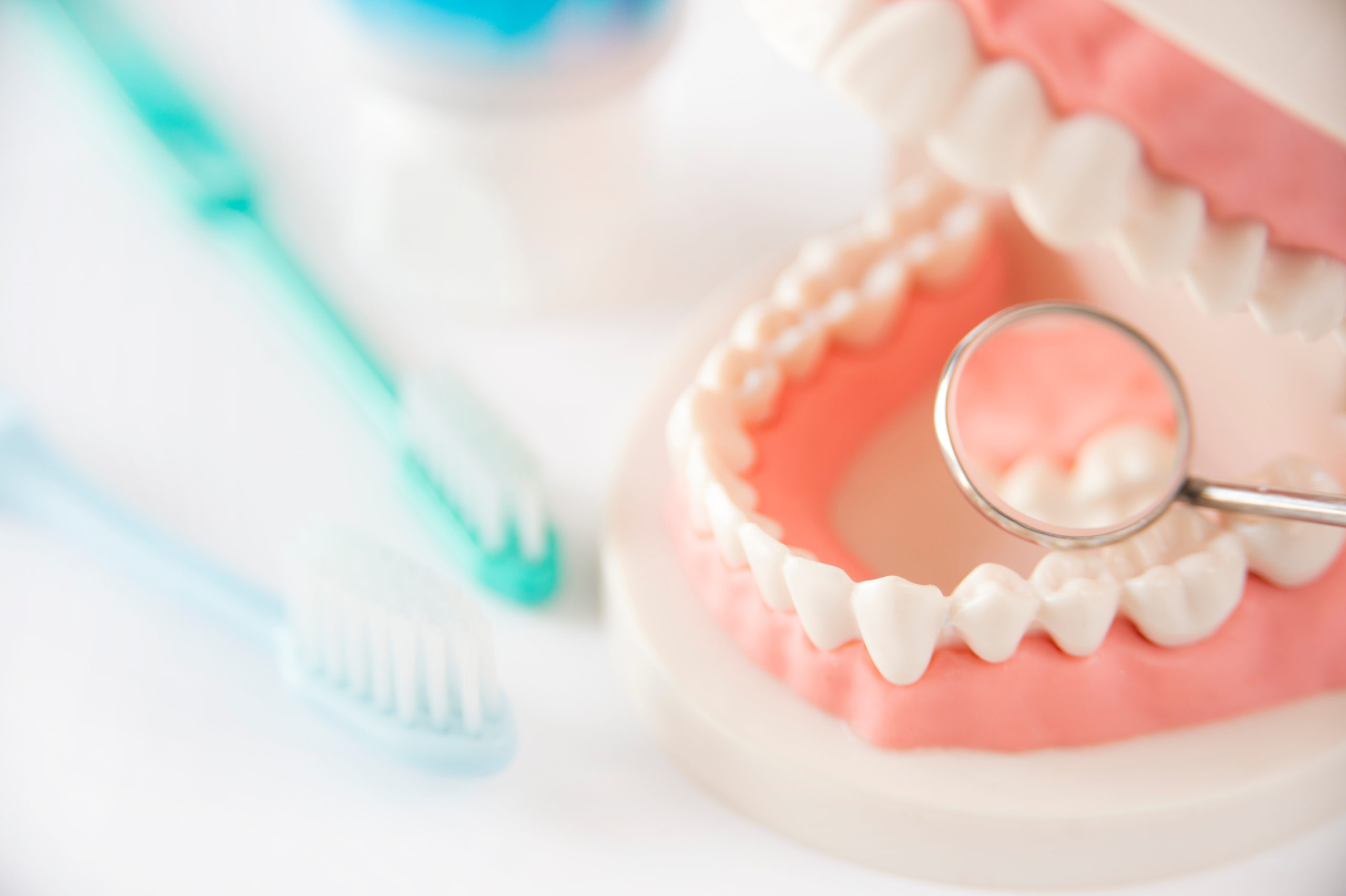 歯ブラシと歯科用器具と歯科模型