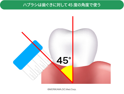 ハブラシは歯茎に対して45度の角度で使う