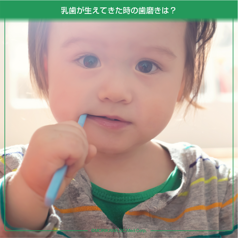 乳歯が生えてきた時の歯磨きは？