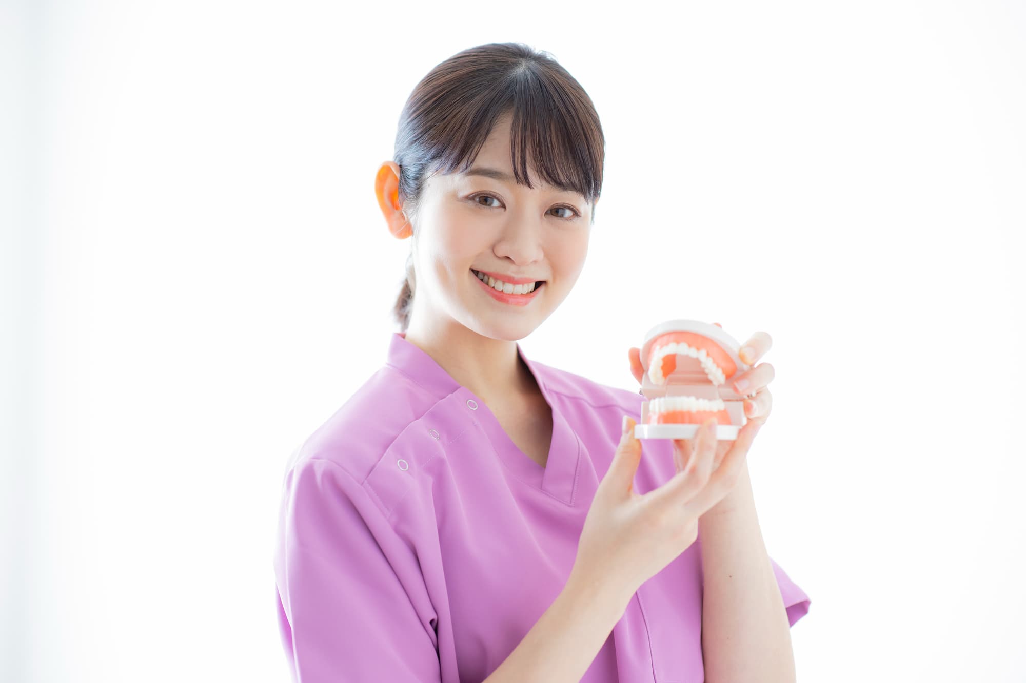 歯石ケアについて模型で伝える歯科衛生士の女性