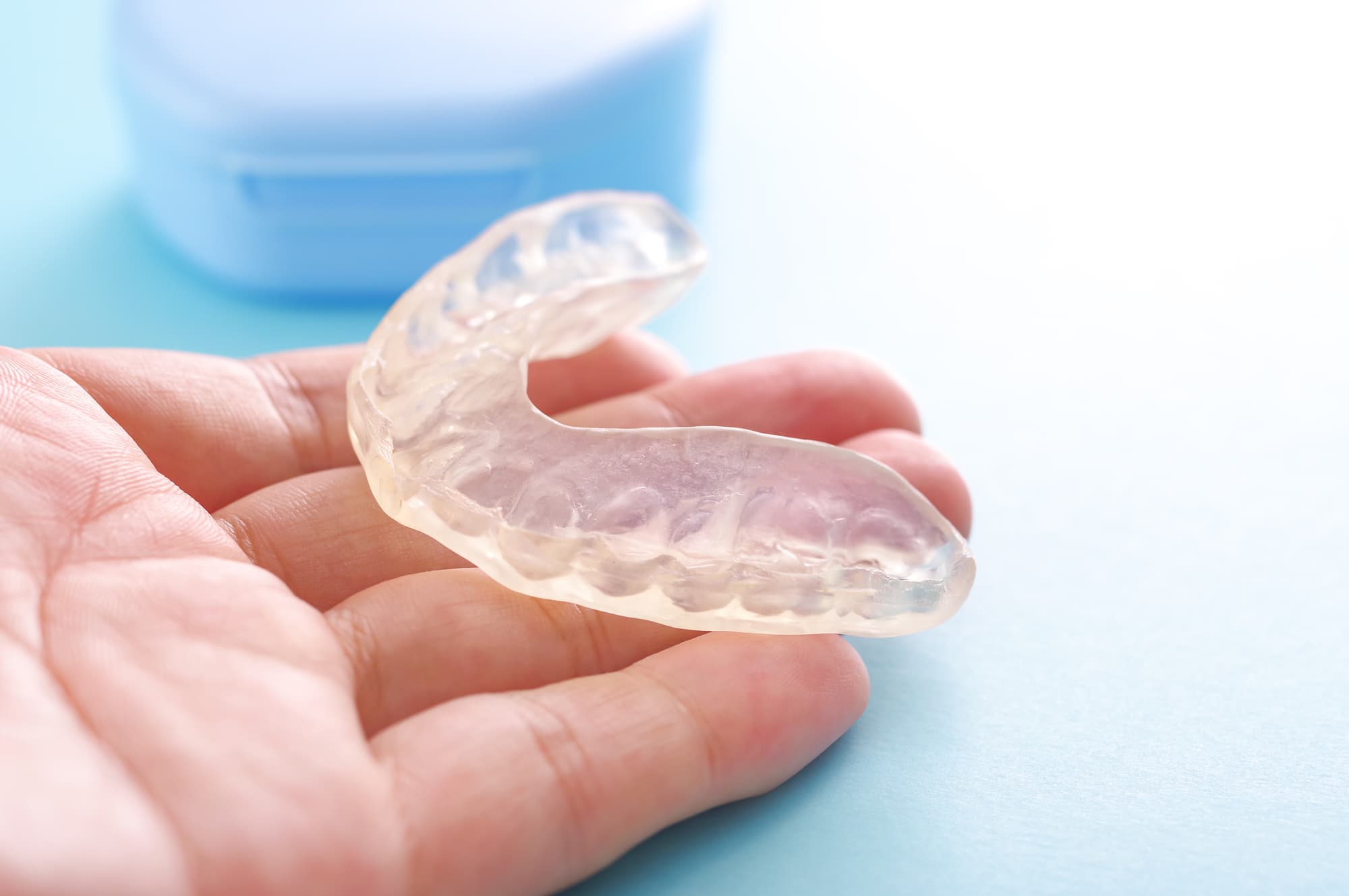 手に乗せたナイトガード